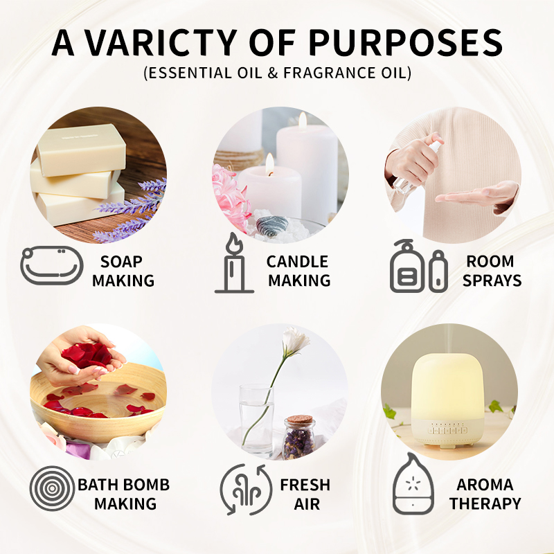 10ML Fragrance Oil Plant Makin - Candle Making And Perfume 评论和价格