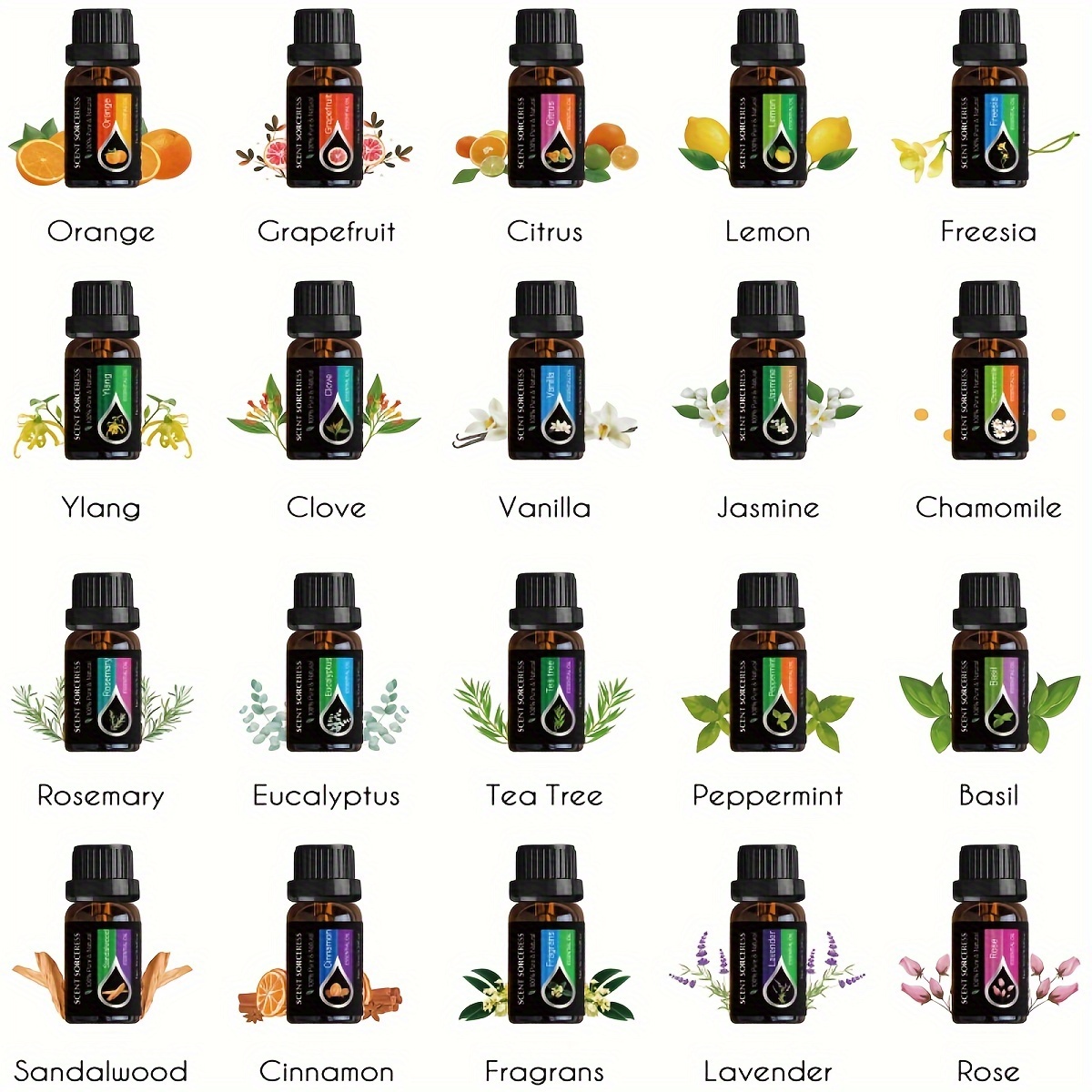 20pcs/set Essential Oil Set La - Candle Making Scents 评论和价格