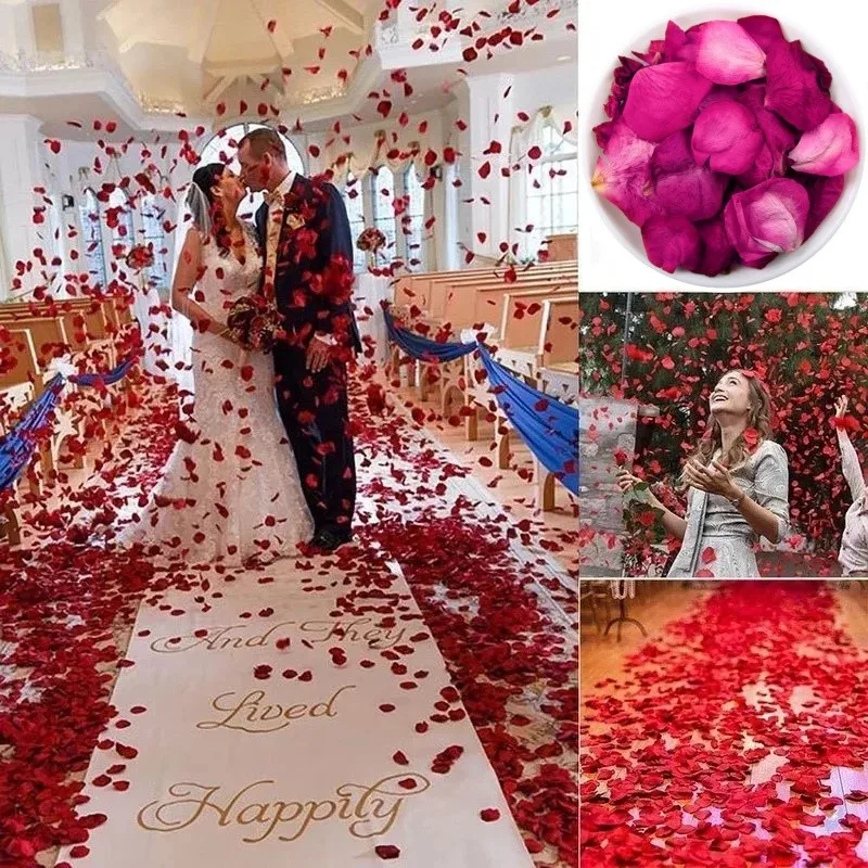 Natural Dried Rose Petals for  - Candle Making And Perfume 评论和价格