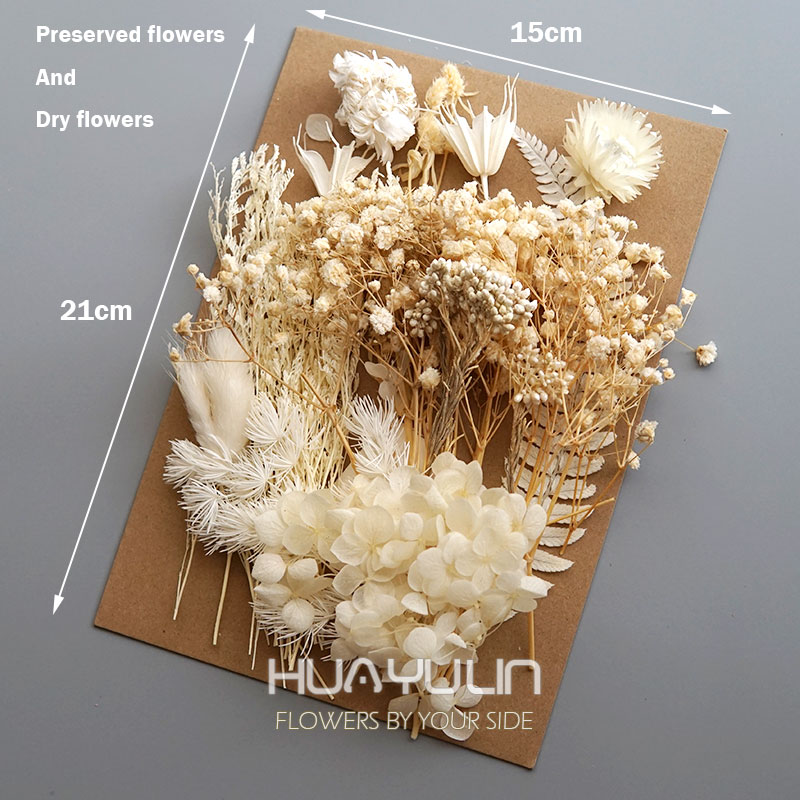 1 Pack Artificial Plants Dried - Candle Making Diy 评论和价格